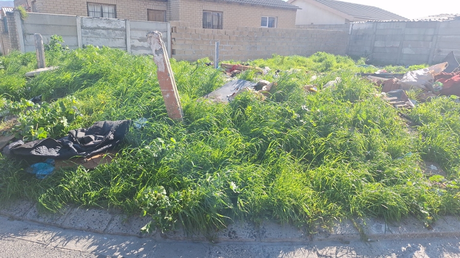 Commercial Property for Sale in Retreat Western Cape
